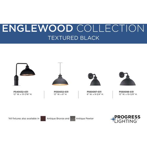 Englewood 1 Light 12 inch Textured Black Outdoor Hanging Lantern